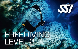 FD LEVEL2