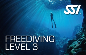 FD-LEVEL3