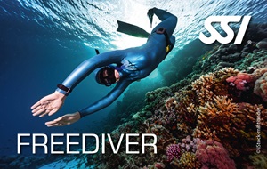 SSI Freediver (Komplett-Kurs)