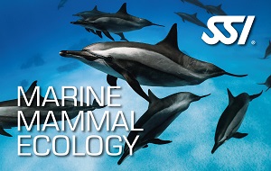 Online SSI Specialty Marine Mammal Ecology